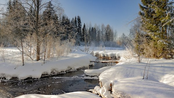 Ранняя Весна в лесу