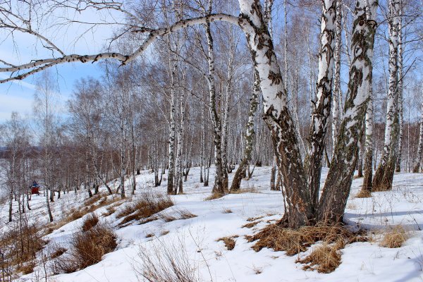Ранняя Весна солнце