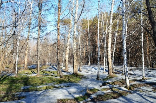 Ранняя Весна