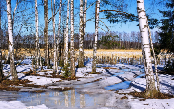 Весна природа