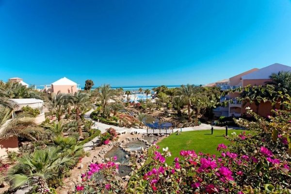 Жам эн-Нессим в Египте