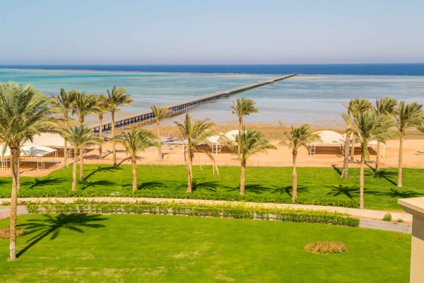 Египет природа Нил