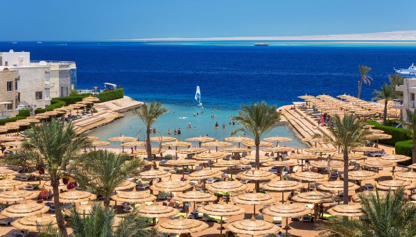 Флора Египта