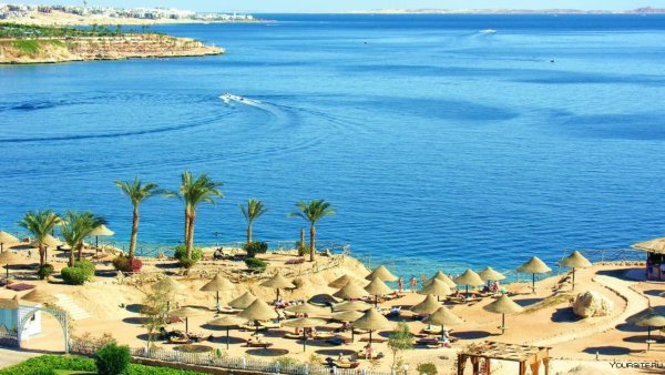 Sunrise Royal Makadi Resort 5