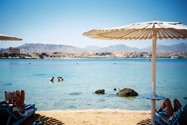 Хургада верблюд