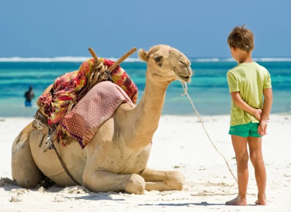 Петра Египет 2021