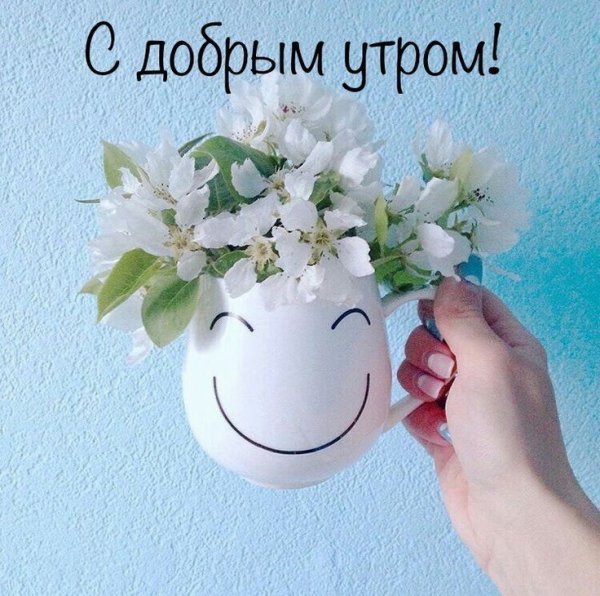 Доброе Весеннее утро понедельника