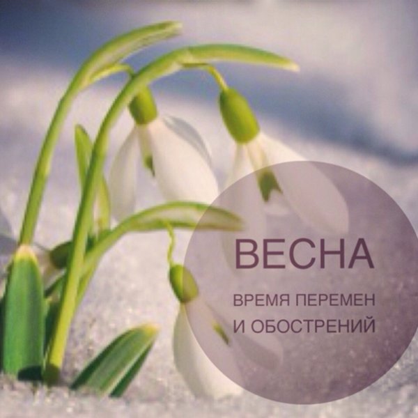 Весна и женщина едины