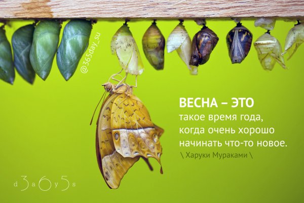 Весеннее обновление