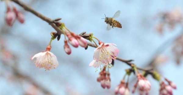 Весна пора перемен