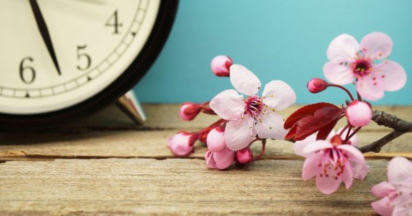 Весна пора обновлений