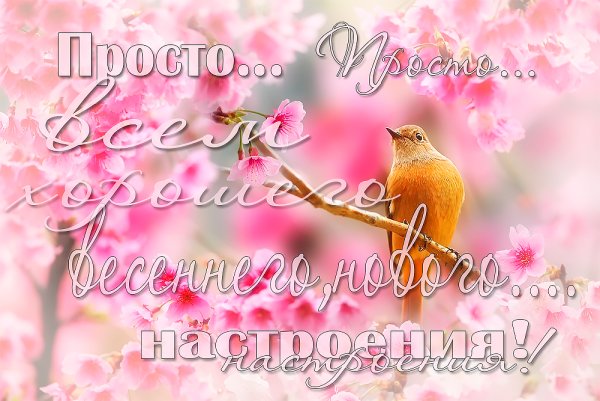 Цитаты про изменения