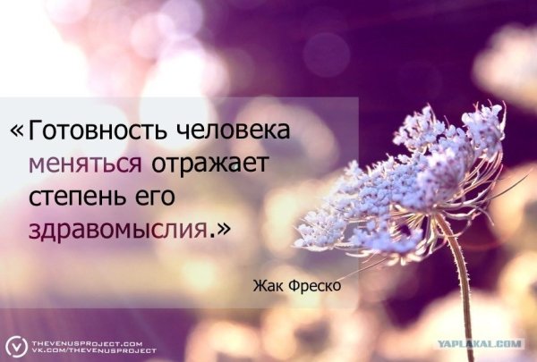 Солнце радость