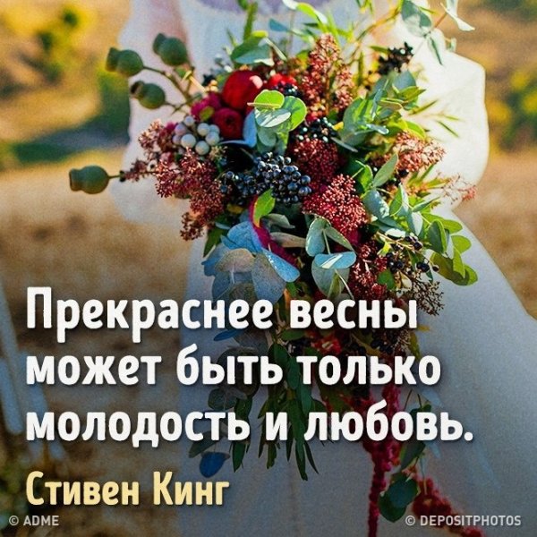 Зима не хочет уходить цитаты