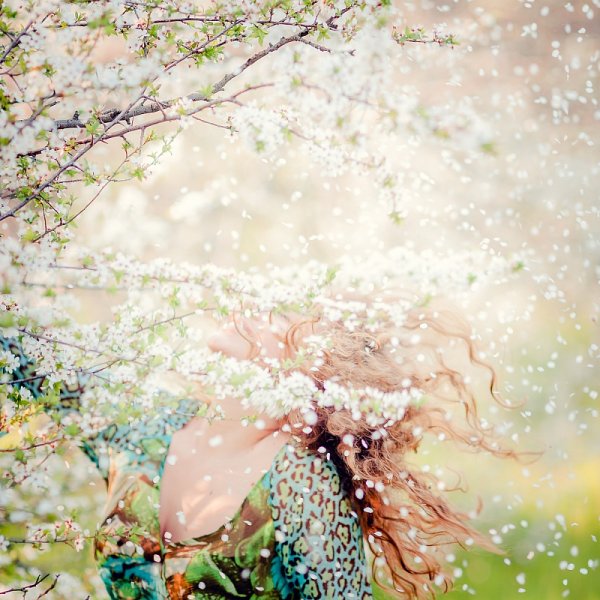 Солнце настроение