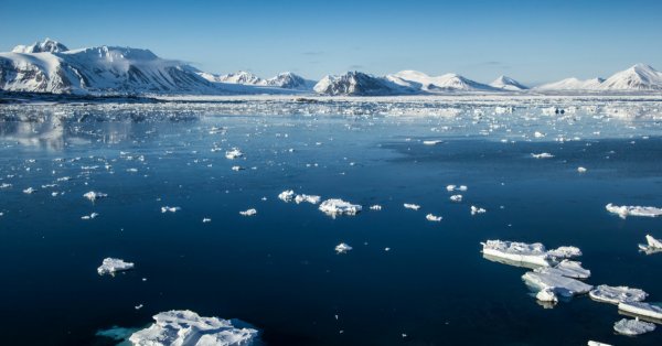 Арктика до весенней