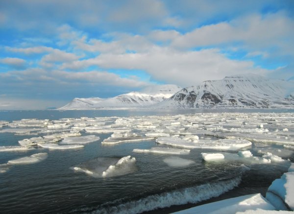 Арктика в июне
