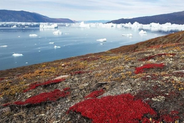 Арктика фото