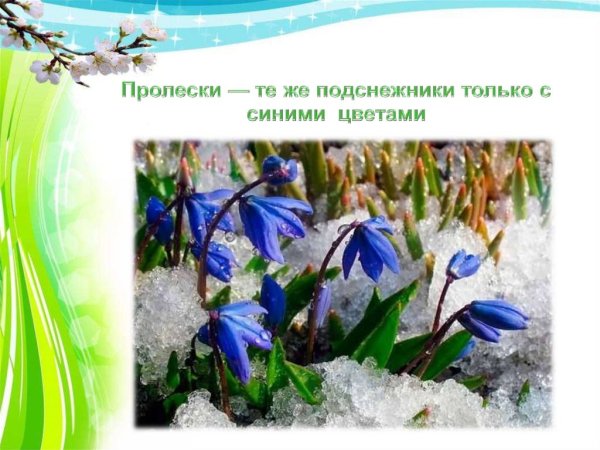 Подснежники листовка