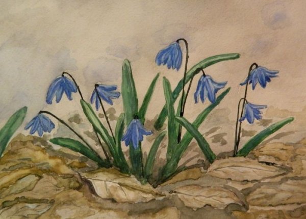 Ольга Чюмина Подснежник