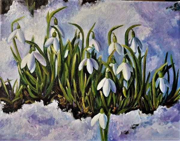 Терра Фьорри подснежники