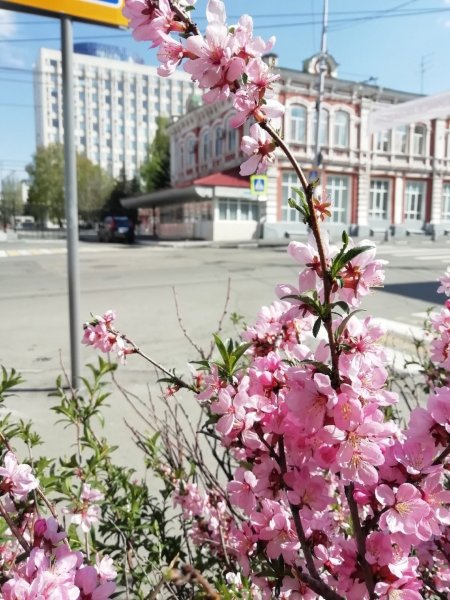 Весна в Саратове