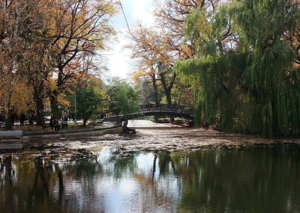 Саратов вид с Соколовой горы