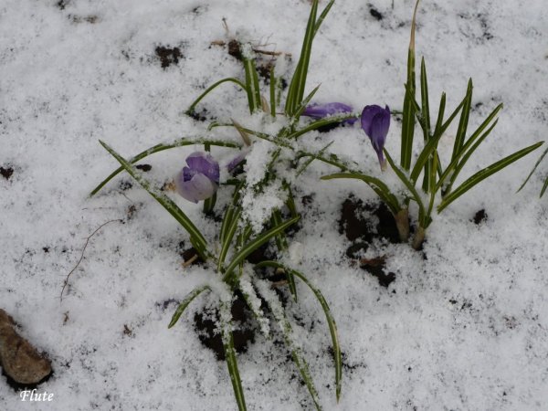 Саратов весной красивые
