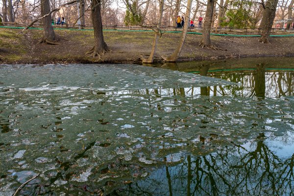 Саратов весной