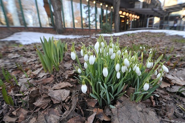 Весна в городе Саратове
