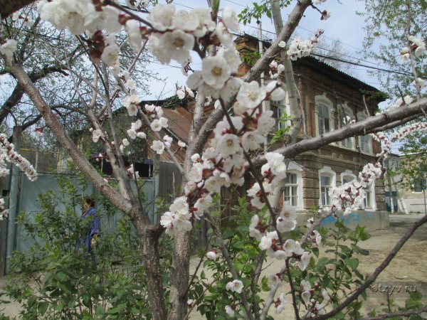 Весна на улице