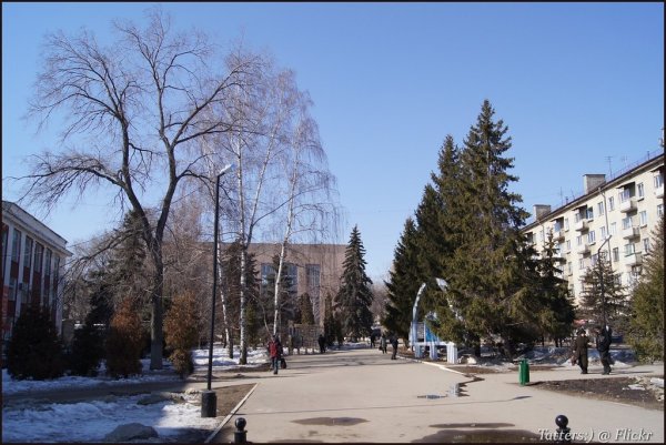 Горпарк Весна Саратов каштан в