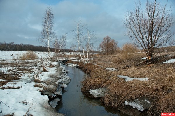Весна в Саратове