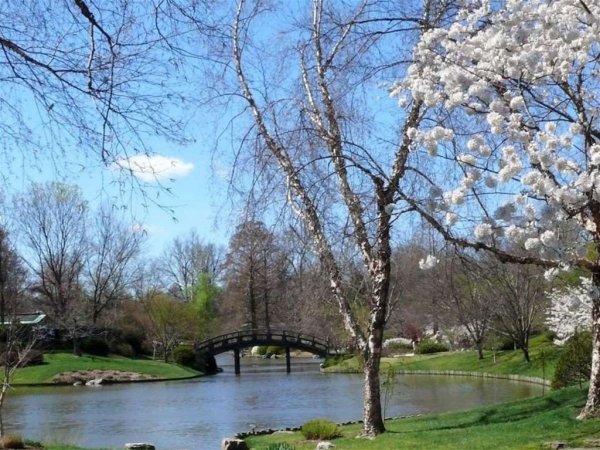 Парк ранней весной