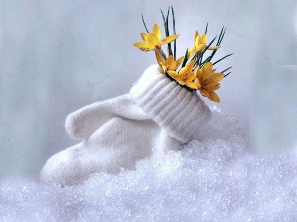 Прощай март привет апрель