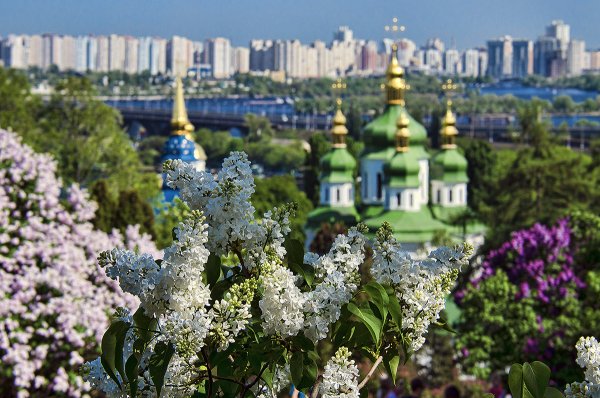 Киев май