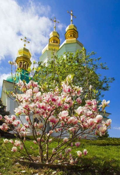 Киев панорама Весна