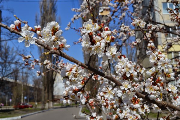 Украина весной