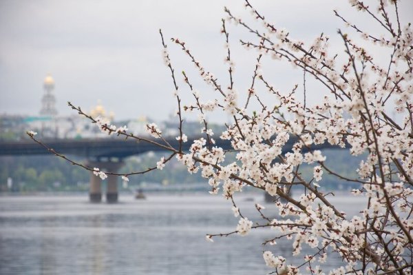 Утро в Киеве Весна