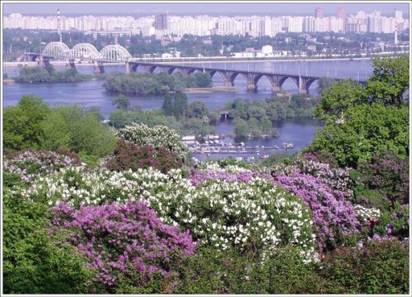 Весна в городе Саратове