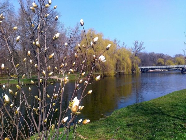 Весна в России