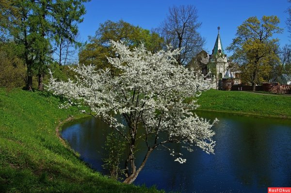 Саратов Весна ранняя