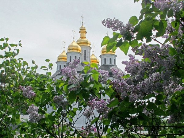 Арбат Москва весной