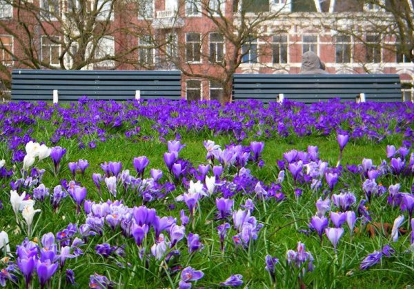 Фон Весна небо