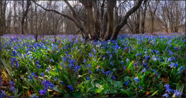 Церковь весной