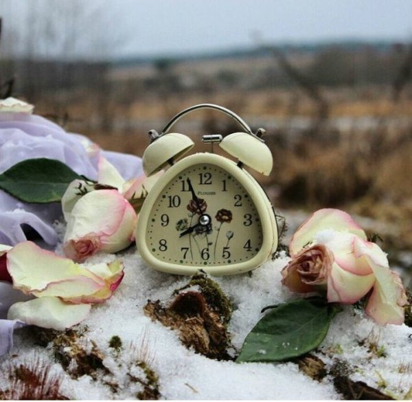 Пусть в душе цветет Весна