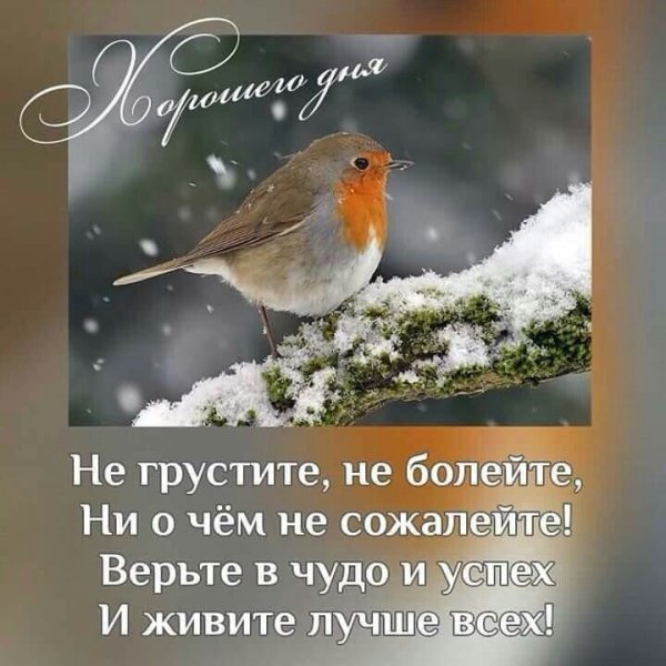 Весна природа