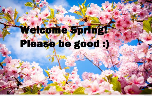 Обложка на страничку