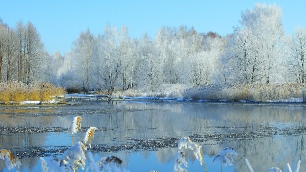 Открытки с добрым утром весенние природа
