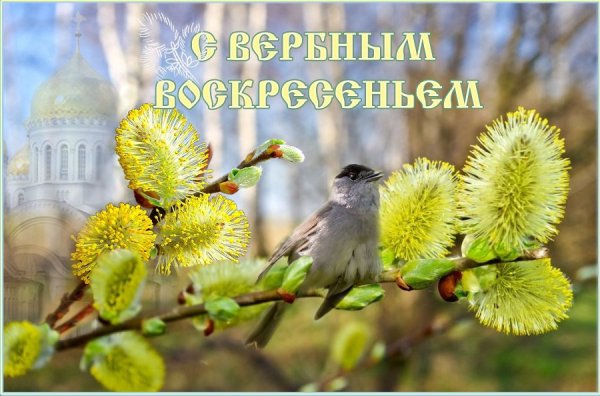 Вербное воскресенье коллаж